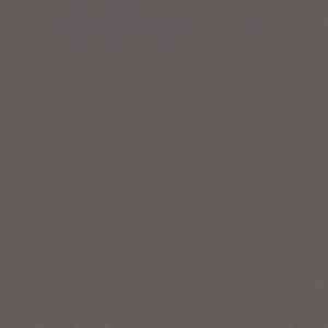 Линолеум FORBO Sarlon Colour 19dB 869T4319 charcoal uni фото ##numphoto## | FLOORDEALER